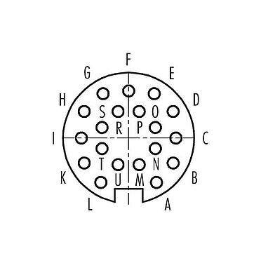 Contact arrangement (Plug-in side) Push Pull Female panel mount connector, Contacts: 19, unshielded, solder, IP67, M21x1,0, Rear mounting