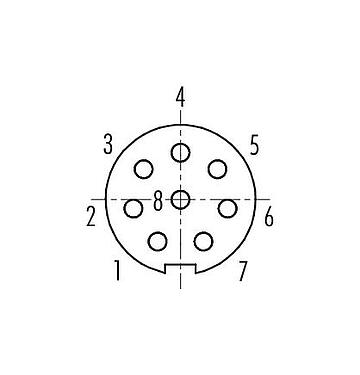 Contact arrangement (Plug-in side) M9 Female panel mount connector, Contacts: 8, unshielded, THT, IP67, M12x0.5, Rear mounting