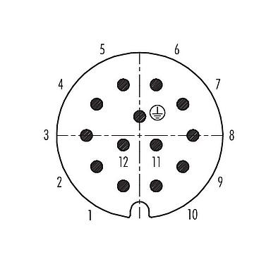 Contact arrangement (Plug-in side) RD30 Male cable connector, Contacts: 12+PE, 12.0-14.0 mm, unshielded, solder, IP65