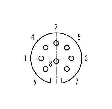 Contact arrangement (Plug-in side) M16 Female panel mount connector, Contacts: 8 (08-a), unshielded, THT, IP40, M18x0,75, Rear mounting