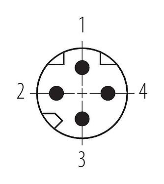 Contact arrangement (Plug-in side) M8 Male panel mount connector, Contacts: 4, shieldable, THT, IP67, M8x1.0, Rear mounting, potted