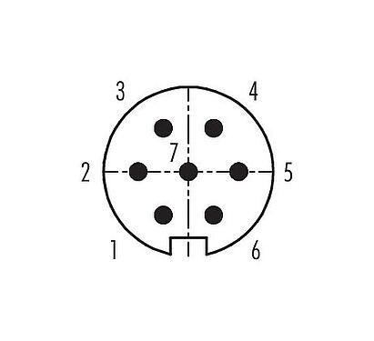 Contact arrangement (Plug-in side) M16 Male panel mount connector, Contacts: 7 (07-a), unshielded, crimping (Crimp contacts must be ordered separately), IP40, M18x0,75, Front mounting