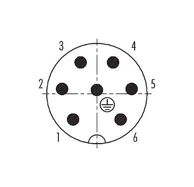 Contact arrangement (Plug-in side) RD24 Male cable connector, Contacts: 6+PE, 8.0-10.0 mm, unshielded, crimping (Crimp contacts must be ordered separately), IP67, UL, ESTI+, VDE, PG 11