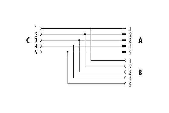 Pin assignment plans M12 Twin distributors Y-distributor, male connector - 2 female connector, Contacts: 5, unshielded, pluggable, IP68, UL 2238