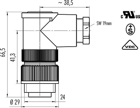 Scale drawing RD24 Male angled connector, Contacts: 3+PE, 8.0-10.0 mm, unshielded, screw clamp, IP67, UL, ESTI+, VDE, PG 11