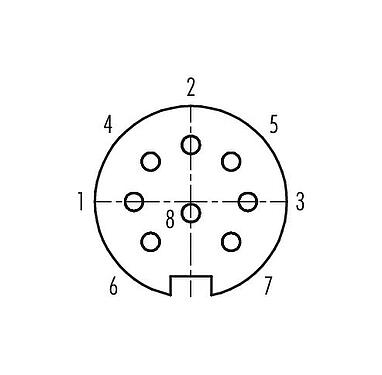 Contact arrangement (Plug-in side) Push Pull Female panel mount connector, Contacts: 8, shieldable, solder, IP67, M21x1,0, Rear mounting
