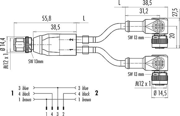 Scale drawing M12 Male cable splitter - 2 female angled connector, Contacts: 4/3, unshielded, moulded on the cable, IP68, UL 2238, PUR, black, 3 x 0.34 mm², 1 m