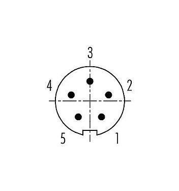 Contact arrangement (Plug-in side) Bayonet Male cable connector, Contacts: 5, 3.0-4.0 mm, unshielded, solder, IP40