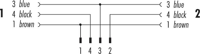 Pin assignment plans M12 Male cable splitter - 2 female cable connectors, Contacts: 4/3, unshielded, moulded on the cable, IP68, UL 2238, PUR, black, 3 x 0.34 mm², 1 m