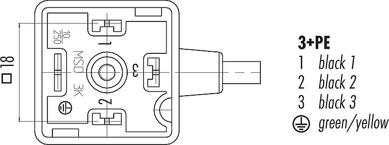 Disposition des contacts (Côté plug-in) Douille d'électrovanne, Contacts: 3+PE, non blindé, surmoulé sur le câble, IP67, PUR, noir, 3 m