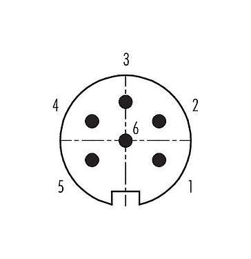 Contact arrangement (Plug-in side) Push Pull Male cable connector, Contacts: 6, 4.0-8.0 mm, shieldable, solder, IP67