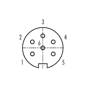 Contact arrangement (Plug-in side) Bayonet Female angled connector, Contacts: 6, 6.0-8.0 mm, unshielded, solder, IP40