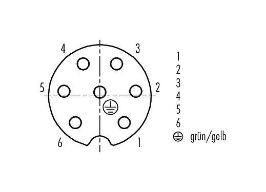 Disposition des contacts (Côté plug-in) RD24 Connecteur femelle, Contacts: 6+PE, non blindé, surmoulé sur le câble, IP67, PVC, noir, 7 x 0,75 mm², 7 m