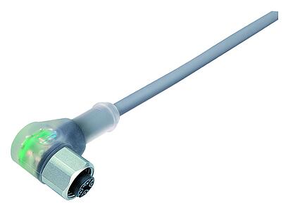 Tecnología de automatización - sensores y actuadores--Conector hembra en ángulo_763_2_WDVA_DG_SK_trans_PVC
