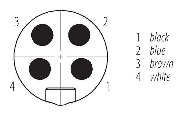 Disposition des contacts (Côté plug-in) 7/8" Embase mâle, Contacts: 4, non blindé, fils, IP68, UL 2238, VDE, PG 11, Montage frontal, coulé