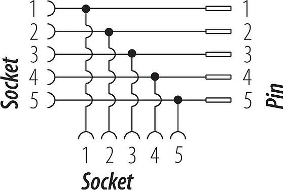 Schémas d’affectation des broches 7/8" Répartiteur double, Contacts: 5, non blindé, IP68