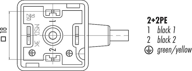 Disposition des contacts (Côté plug-in) Douille d'électrovanne, Contacts: 2+2PE, non blindé, surmoulé sur le câble, IP67, PUR, noir, 3 m