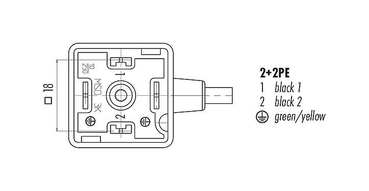 Contact arrangement (Plug-in side) Female solenoid valve connector, Contacts: 2+2PE, unshielded, moulded on the cable, IP67, PUR, black, 5 m