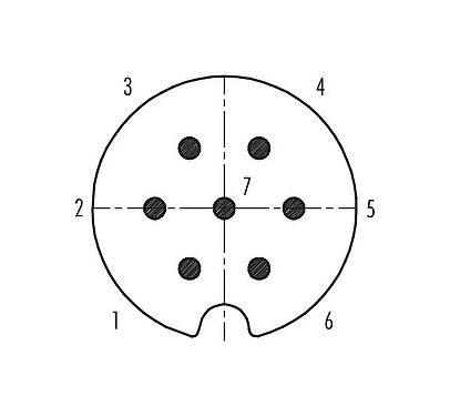 Contact arrangement (Plug-in side) M25 Male panel mount connector, Contacts: 7, shieldable, solder, IP40, Front mounting