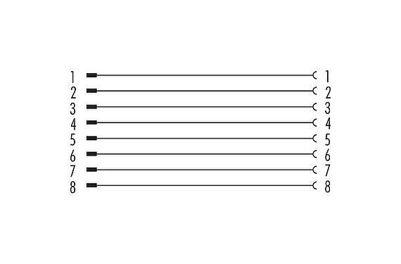 Pin assignment plans M12 Lead-through for control cabinet, Contacts: 8, shielded, pluggable, IP67, M12x1.0