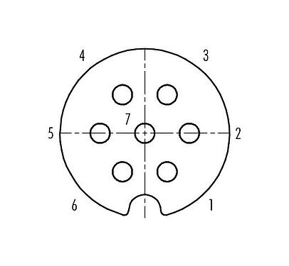 Contact arrangement (Plug-in side) M25 Female cable connector, Contacts: 7, 5.0-8.0 mm, shieldable, solder, IP40