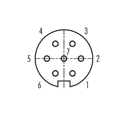 Contact arrangement (Plug-in side) M16 Female panel mount connector, Contacts: 7 (07-a), unshielded, THT, IP40, M18x0,75, Rear mounting