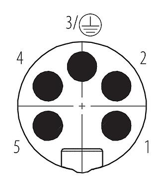 Disposición de los contactos (lado de la conexión) 7/8" Conector de cable macho, Número de contactos: 4+PE, 6,0-8,0 mm, sin blindaje, tornillo extraíble, IP67, UL 2238, VDE