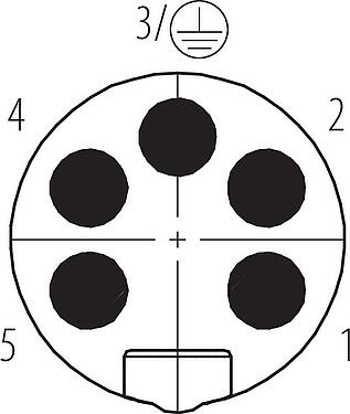 Disposición de los contactos (lado de la conexión) 7/8" Conector de cable macho, Número de contactos: 4+PE, 6,0-8,0 mm, sin blindaje, tornillo extraíble, IP67, UL 2238, VDE