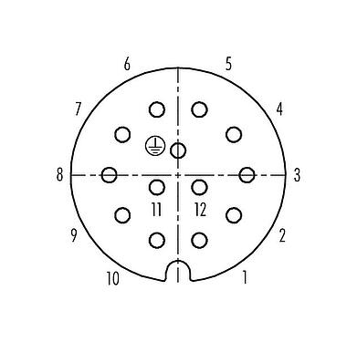 Contact arrangement (Plug-in side) RD30 Female panel mount connector, Contacts: 12+PE, unshielded, solder, IP65, Front mounting