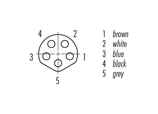 Contact arrangement (Plug-in side) M8 Female angled connector, Contacts: 5, unshielded, moulded on the cable, IP67/IP69K, UL 2238, PVC, grey, 5 x 0.34 mm², 2 m