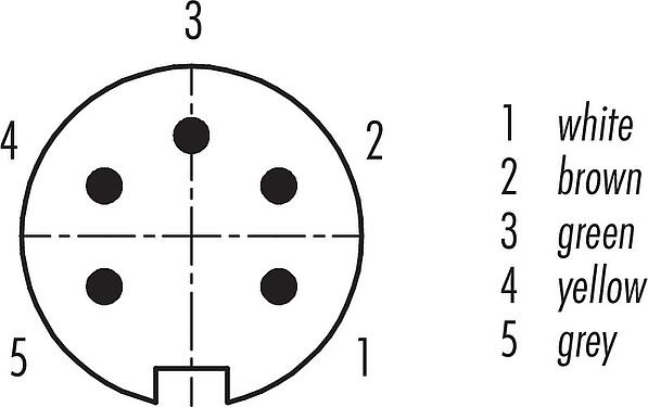 Contact arrangement (Plug-in side) M16 Male panel mount connector, Contacts: 5 (05-a), unshielded, single wires, IP67, UL 2238, M18x0,75, Rear mounting