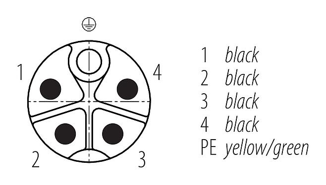 Disposición de los contactos (lado de la conexión) M12 Conector de cable macho, Número de contactos: 4+PE, sin blindaje, moldeado en el cable, IP68, UL 2238, PUR, negro, 5 x 1,50 mm², 2 m