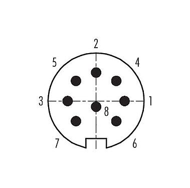 Contact arrangement (Plug-in side) Push Pull Male cable connector, Contacts: 8, 4.0-8.0 mm, shieldable, solder, IP67