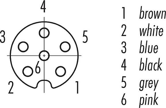 Disposition des contacts (Côté plug-in) M8 Embase femelle, Contacts: 6, non blindé, fils, IP67, UL 2238, M10x0,75, Montage frontal, coulé