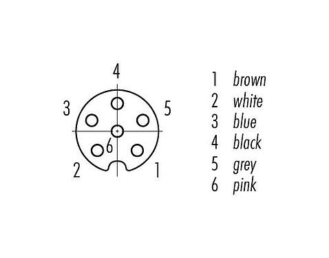 Contact arrangement (Plug-in side) M8 Female cable connector, Contacts: 6, unshielded, moulded on the cable, IP67/IP69K, UL 2238, PUR, black, 6 x 0.25 mm², 2 m