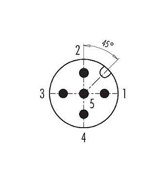 Contact arrangement (Plug-in side) M12 Male cable connector, Contacts: 5, 4.0-6.5 mm, unshielded, screw clamp, IP68/IP69K, for outdoor, UV resistant
