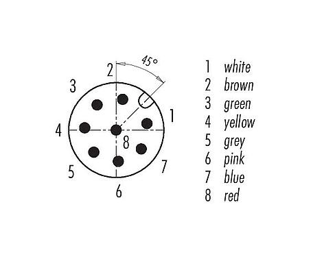 Contact arrangement (Plug-in side) M12 Male panel mount connector, Contacts: 8, unshielded, single wires, IP68, UL 2238, M16x1.5, Front mounting