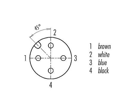 Contact arrangement (Plug-in side) M12 Female panel mount connector, Contacts: 4, unshielded, single wires, IP68/IP69K, UL 2238, M16x1.5, Front mounting, Positionable coding alignment