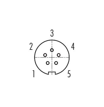 Contact arrangement (Plug-in side) Snap-In Female panel mount connector, Contacts: 5, unshielded, solder, IP67, UL 2238, M8x0,75, Front mounting