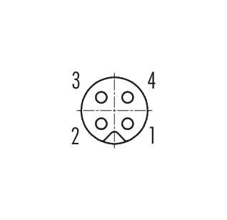 Contact arrangement (Plug-in side) M5 Female panel mount connector, Contacts: 4, unshielded, THT, IP67, M5x0.5, Rear mounting, potted
