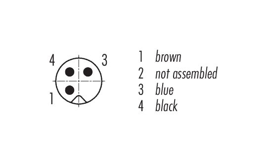 Contact arrangement (Plug-in side) M5 Male panel mount connector, Contacts: 3, unshielded, single wires, IP67, M5x0.5, Rear mounting, potted