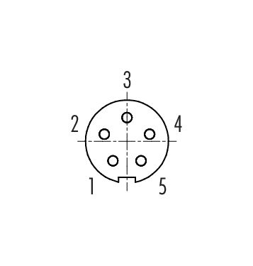 Contact arrangement (Plug-in side) M9 Female panel mount connector, Contacts: 5, unshielded, THT, IP40, M9x0,5, Front mounting