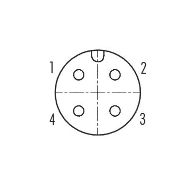 Contact arrangement (Plug-in side) M12 Lead-through for control cabinet, Contacts: 4, shielded, pluggable, IP67, UL 2238, M12x1.0, Rear mounting