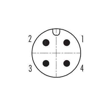 Contact arrangement (Plug-in side) M12 Lead-through for control cabinet, Contacts: 4, shielded, pluggable, IP67, UL 2238, M12x1.0, Rear mounting