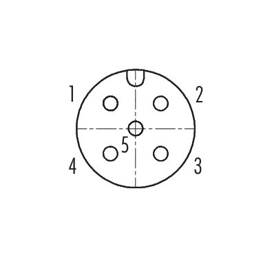 Contact arrangement (Plug-in side) M12 Lead-through for control cabinet, Contacts: 5, shielded, pluggable, IP67, UL 2238, M12x1.0, Rear mounting