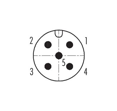 Contact arrangement (Plug-in side) M12 Lead-through for control cabinet, Contacts: 5, shielded, pluggable, IP67, UL 2238, M12x1.0, Rear mounting