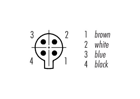 Contact arrangement (Plug-in side) Snap-In Male cable connector, Contacts: 4, unshielded, moulded on the cable, IP40, PVC, black, 4 x 0.25 mm², 2 m